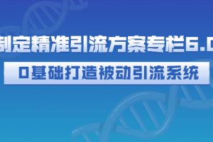 制定精准引流方案专栏6.0：0基础打造被动引流系统（价值1380元）