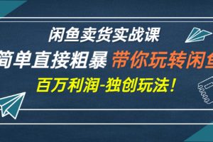 闲鱼卖货实战课，简单直接粗暴，带你玩转闲鱼-百万利润-独创玩法！