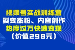 视频号实战训练营，裂变涨粉、内容创作、热度过万快速变现（价值298元）