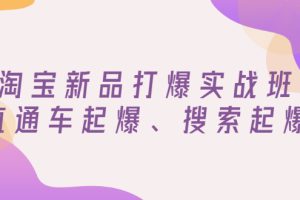 淘宝新品打爆实战班，直通车起爆、搜索起爆（价值599元）