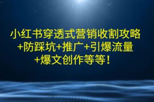 小红书穿透式营销收割攻略+防踩坑+推广+引爆流量+爆文创作等等！