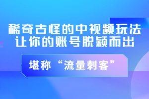 稀奇古怪的中视频玩法，让你的账号脱颖而出，堪称“流量刺客”（图文+视频)