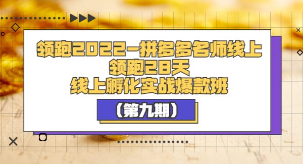 领跑2022-拼多多名师线上领跑28天，线上孵化实战爆款班（第九期）