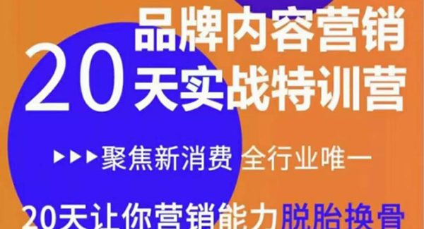 《内容营销实操特训营》20天让你营销能力脱胎换骨（价值3999）