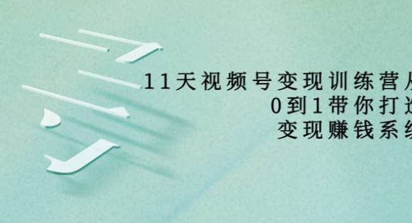 好望角·11天视频号变现训练营，从0到1打造变现赚钱系统（价值398）