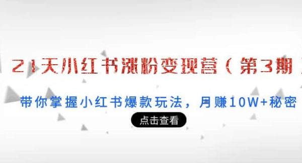 21天小红书涨粉变现营（第3期）：带你掌握小红书爆款玩法，月赚10W 秘密