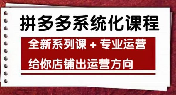 车神陪跑，拼多多系统化课程，全新系列课 专业运营给你店铺出运营方向