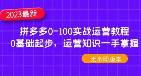 2023拼多多0-100实战运营教程，0基础起步，运营知识一手掌握（无水印）