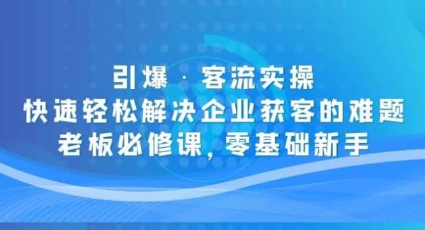 引爆·客流实操：快速轻松解决企业获客的难题，老板必修课，零基础新手