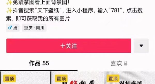 国潮壁纸变现项目，新手可操作日赚200 【素材 软件 教程】