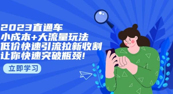 2023直通小成本 大流量玩法，低价快速引流拉新收割，让你快速突破瓶颈