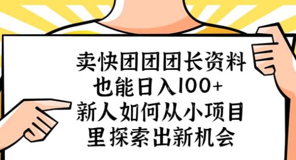 卖快团团团长资料也能日入100  新人如何从小项目里探索出新机会