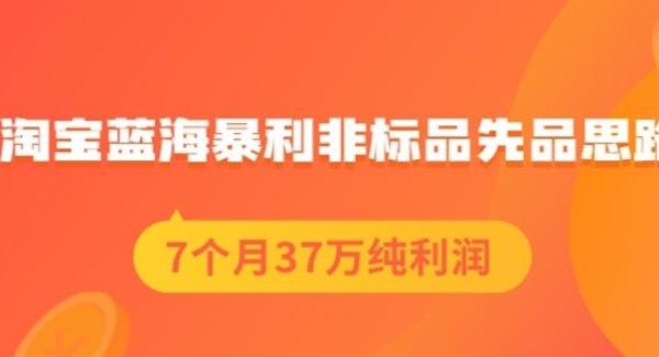 盗坤淘宝蓝海暴利非标品先品思路，7个月37万纯利润，压箱干货分享！【付费文章】