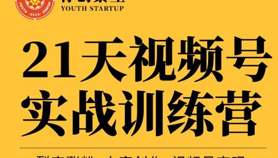 张萌21天视频号实战训练营，裂变涨粉、内容创作、视频号变现 价值298元