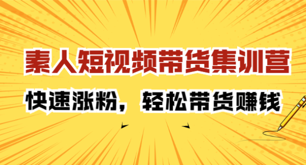 素人短视频带货集训营：快速涨粉，轻松带货赚钱