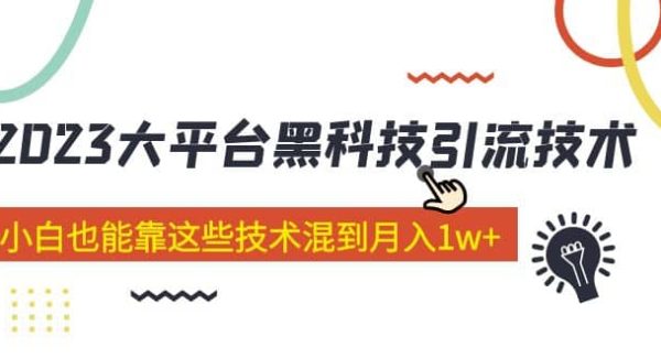 价值4899的2023大平台黑科技引流技术 29节课