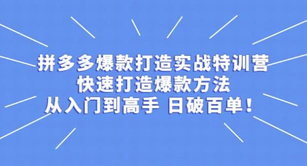 拼多多爆款打造实战特训营：快速打造爆款方法，从入门到高手 日破百单