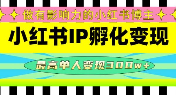 某收费培训-小红书IP孵化变现：做有影响力的小红书博主