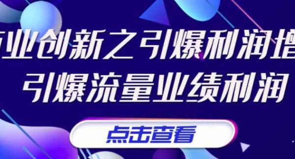 张琦《商业创新之引爆利润增长》引爆流量业绩利润