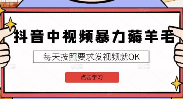 2022抖音中视频暴力薅羊毛白嫖项目：新号每天20块，老号几天几百块，可多号