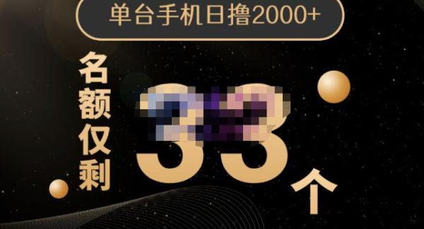 2022年全新口子，手机批量搬砖玩法，一部手机日撸2000