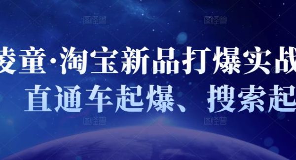 凌童·淘宝新品打爆实战班，直通车起爆、搜索起爆