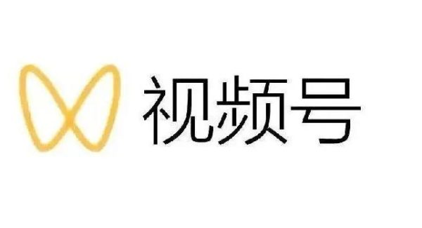 最新视频号解读，视频号真相 变现玩法【视频课程】