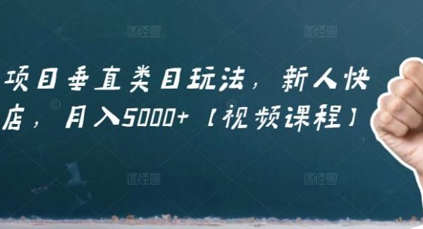 虚拟项目垂直类目玩法，新人快速起店，月入5000 【视频课程】