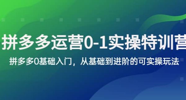 拼多多-运营0-1实操训练营，拼多多0基础入门，从基础到进阶的可实操玩法