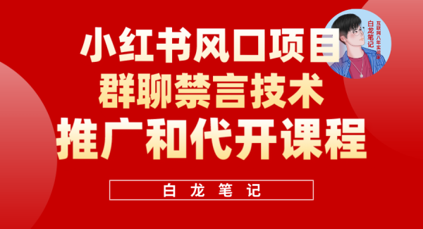 小红书风口项目日入300 ，小红书群聊禁言技术代开项目，适合新手操作