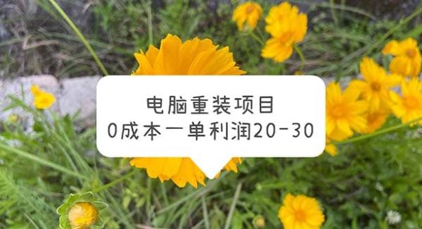 电脑系统重装项目，0成本一单利润20-30