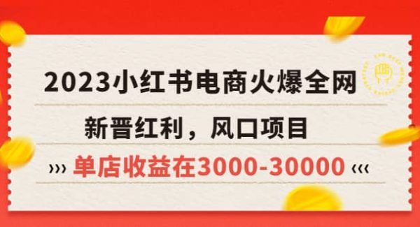 2023小红书电商火爆全网，新晋红利，风口项目，单店收益在3000-30000