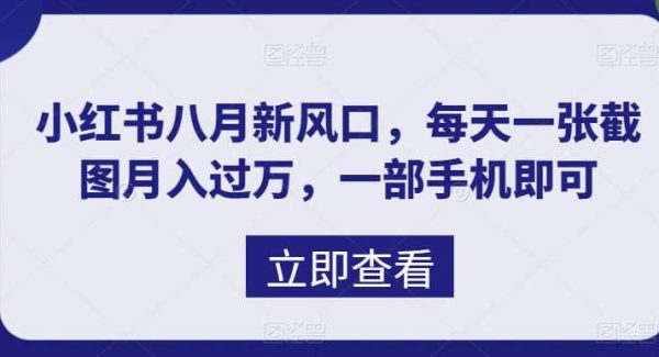 八月新风口，小红书虚拟项目一天收入1000 ，实战揭秘