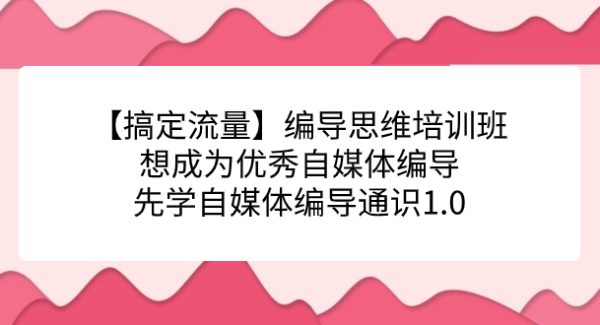 【搞定流量】编导思维培训班，想成为优秀自媒体编导先学自媒体编导通识1.0