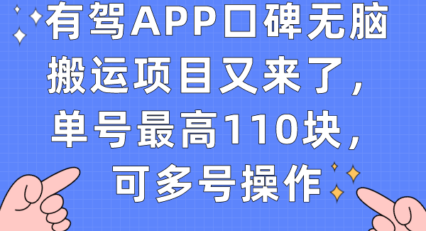 有驾APP口碑无脑搬运项目又来了，单号最高110块，可多号操作