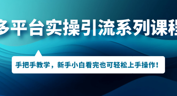 多平台实操引流系列课程，手把手教学，新手小白看完也可轻松上手引流操作