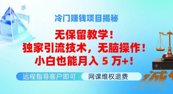 冷门赚钱项目无保留教学！独家引流技术，无脑操作！小白也能月入5万+！