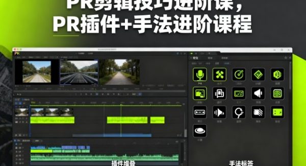 PR剪辑技巧进阶课，PR插件+手法进阶课程