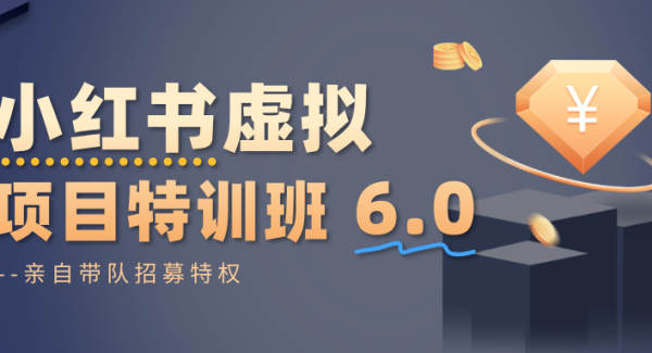 小红书虚拟项目特训班6.0 ，养号/选品/自动发货/爆款笔记（含40节视频课）