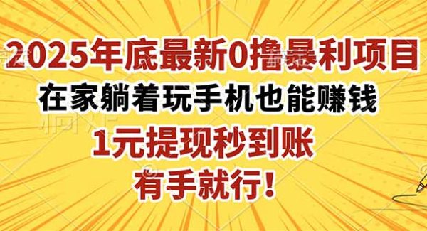 （16419期）2025年底最新0撸暴利项目，在家也能躺赚，1元秒提现，有手就行！
