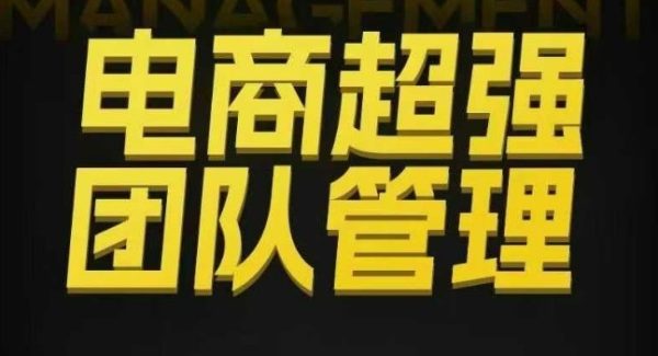 电商超强团队管理，组织绩效，到用人执行，分权合伙